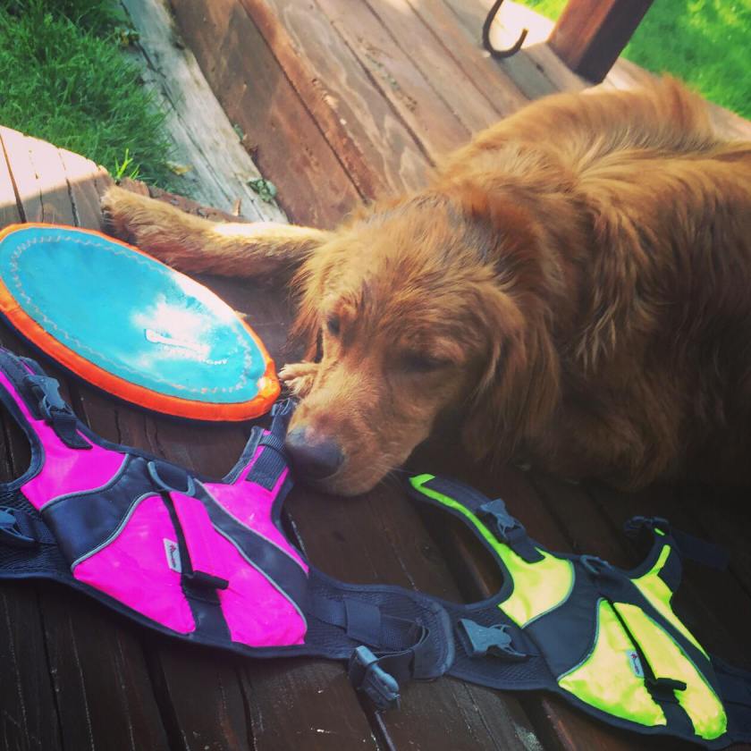 61555761_444953946268650_5195551607881728000_n