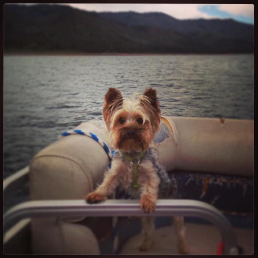 61726012_813558099028291_375792029034086400_n